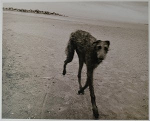 Image description is not available for DU2024.42